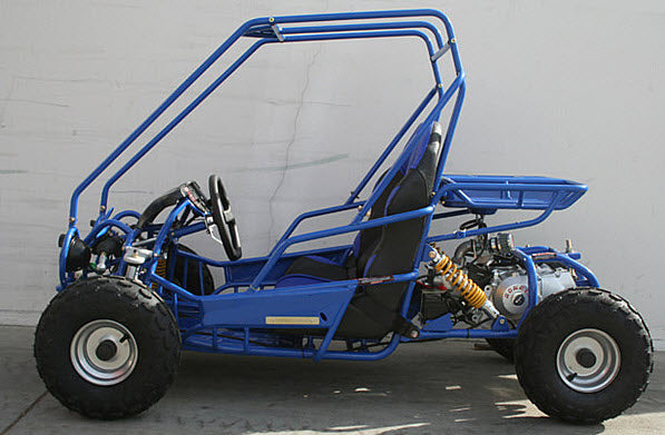 Mini Raptor 125cc Go Kart