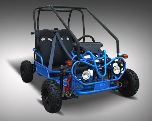 Mini Raptor 125cc Go Kart