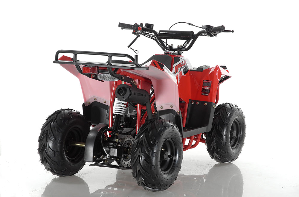Mini Commander 110cc ATV