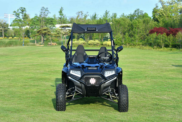 BLADE 200EFI