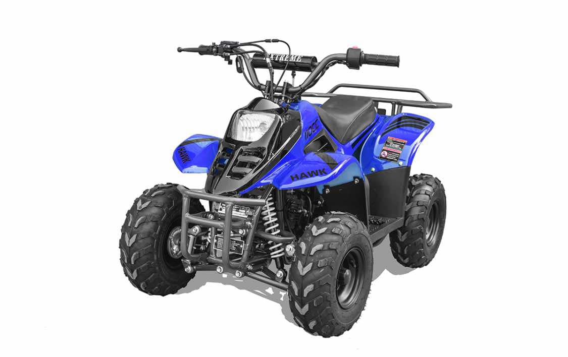 Hawk 110cc Child ATV No Reverse