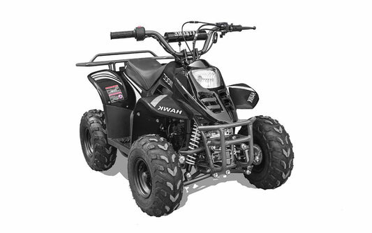 Hawk 110cc Child ATV No Reverse