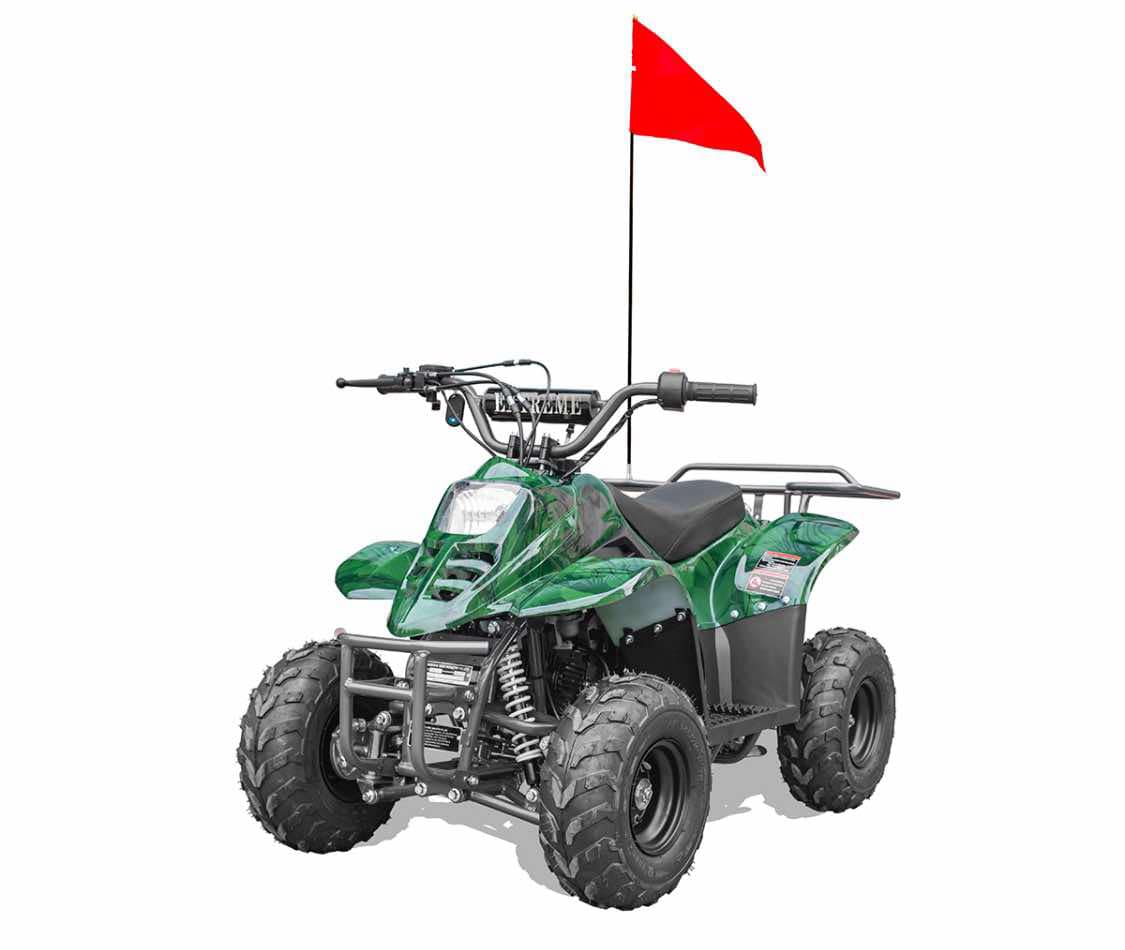 Hawk 110cc Child ATV No Reverse