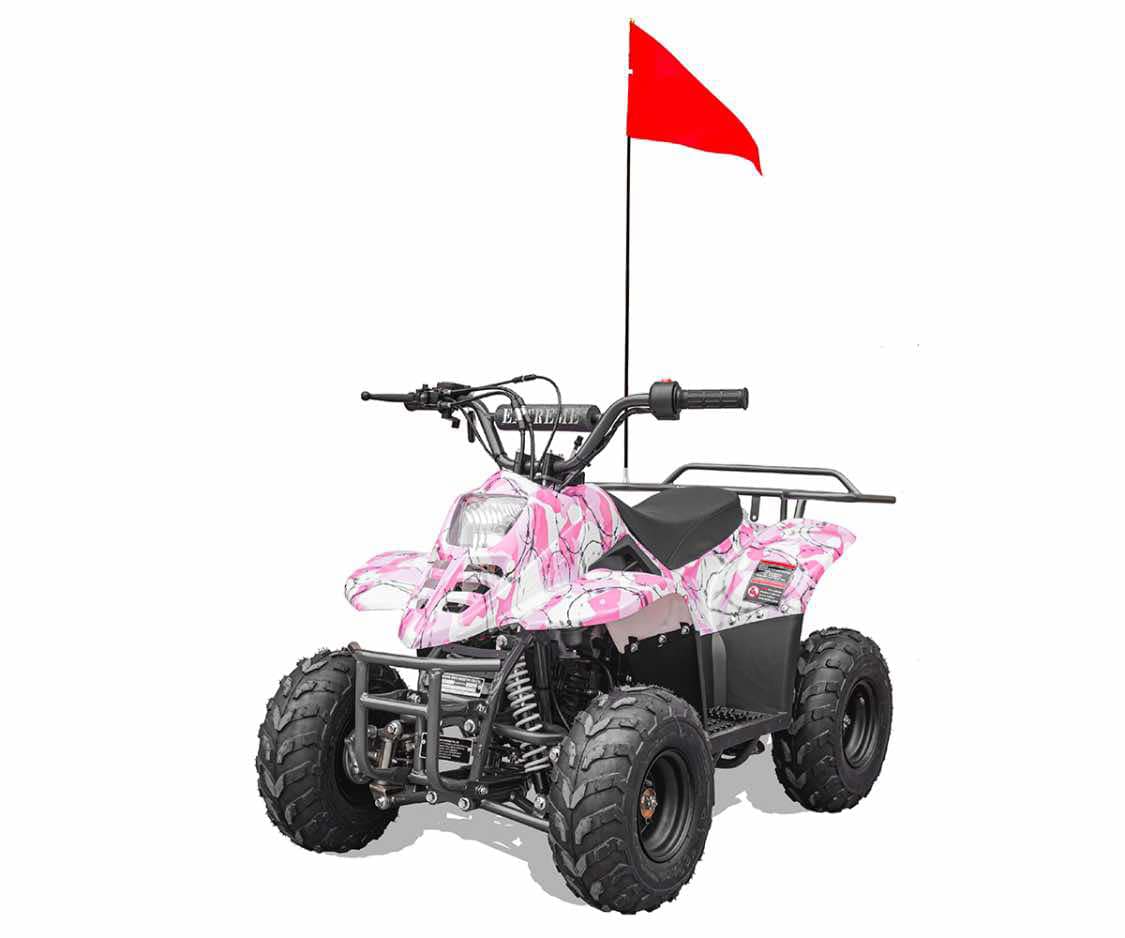 Hawk 110cc Child ATV No Reverse