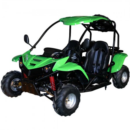 TRex 125cc Youth Go Kart